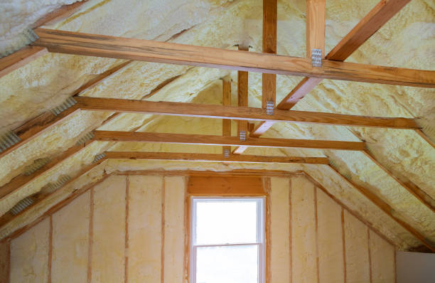 Best Fiberglass Insulation  in Elkhart, IN