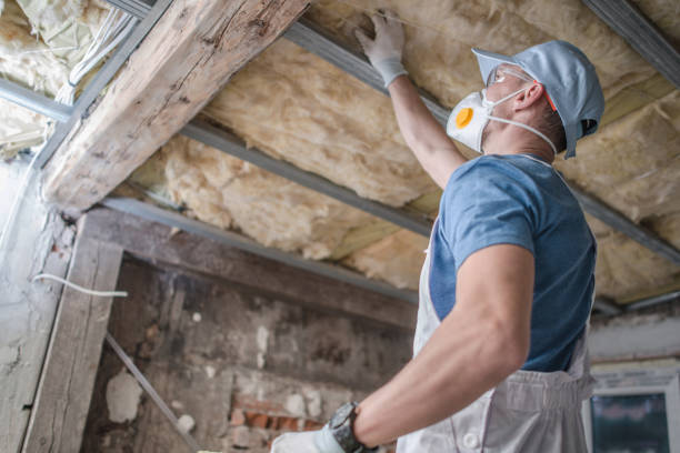 Best Insulation Contractors for Homes  in Elkhart, IN