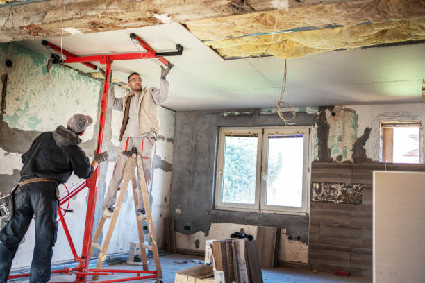 Best Insulation Removal  in Elkhart, IN