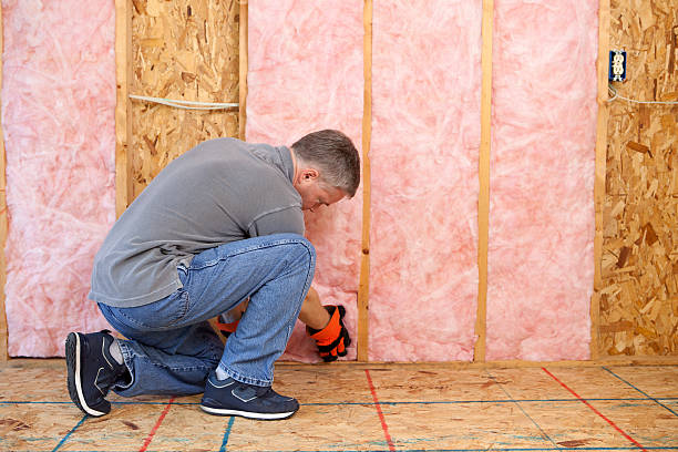 Best Insulation Replacement Services  in Elkhart, IN