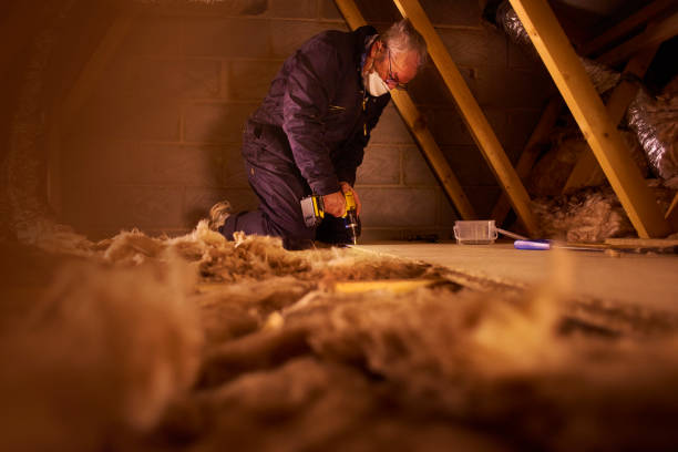Best Insulation Inspection Services  in Elkhart, IN